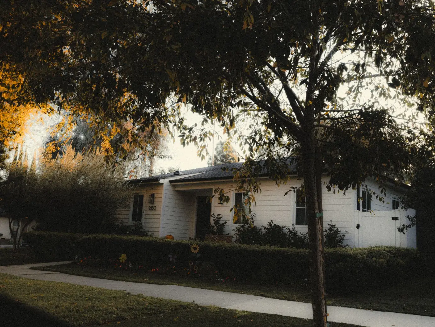 Mature residential home with layered landscaping and established trees